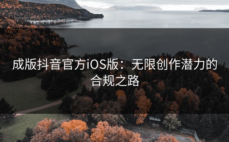 成版抖音官方iOS版：无限创作潜力的合规之路