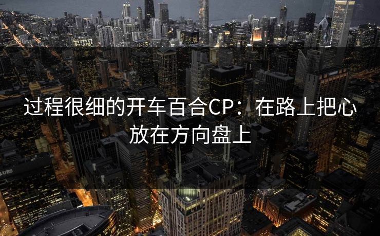 过程很细的开车百合CP：在路上把心放在方向盘上