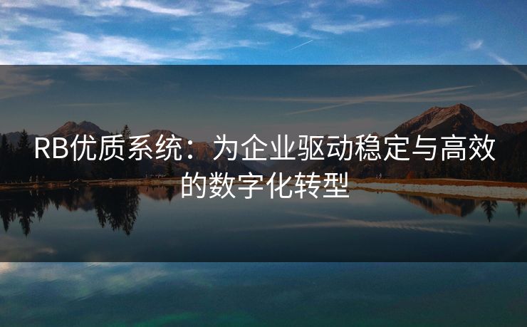 RB优质系统：为企业驱动稳定与高效的数字化转型