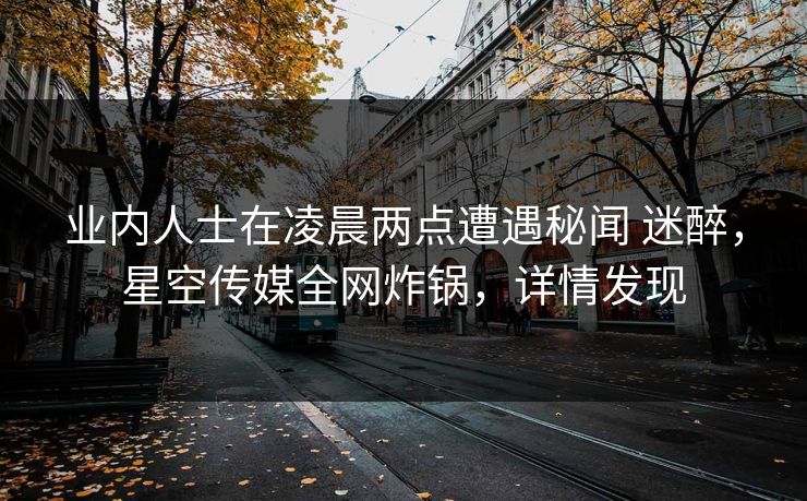 业内人士在凌晨两点遭遇秘闻 迷醉，星空传媒全网炸锅，详情发现